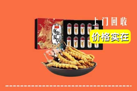 东莞清溪镇回收冬虫夏草